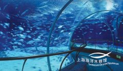 上海海洋水族馆小童80成人130 少量实体票135