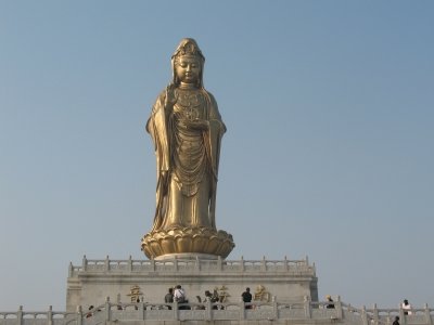 普陀山景区（22座考斯特）